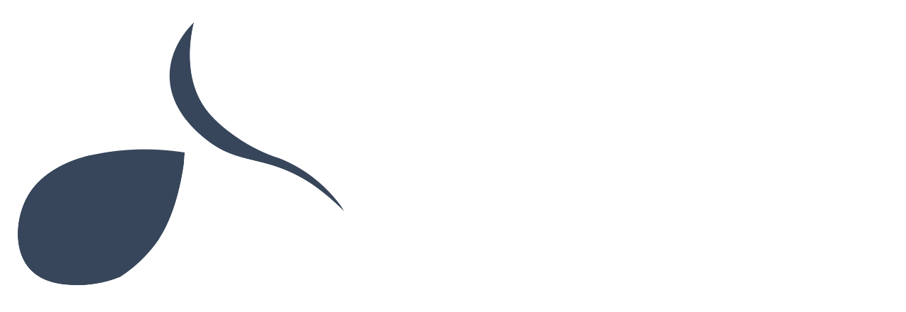 NebulaForm Logo
